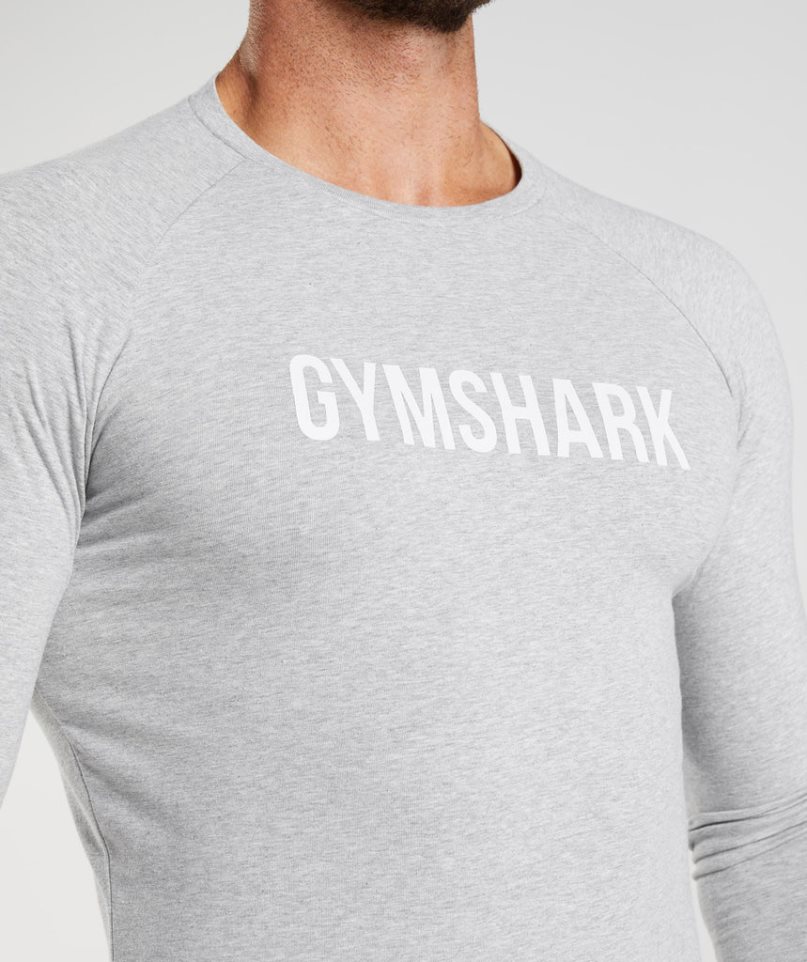 Men's Gymshark Apollo Long Sleeve T-Shirts Light Grey | CA N57860